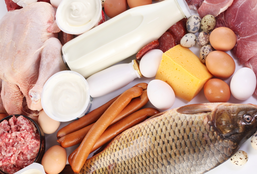 dieta proteica