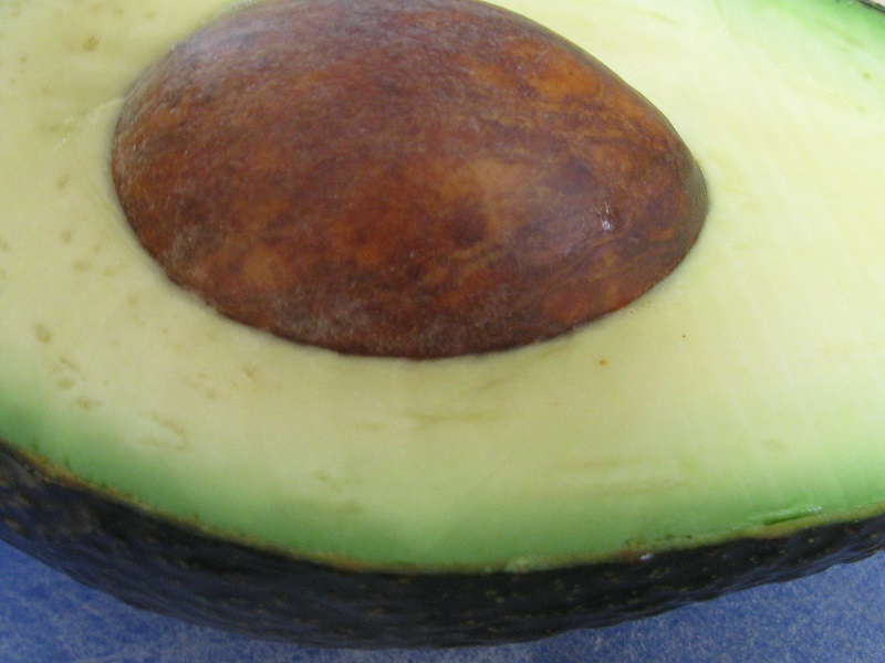 propiedades del aguacate