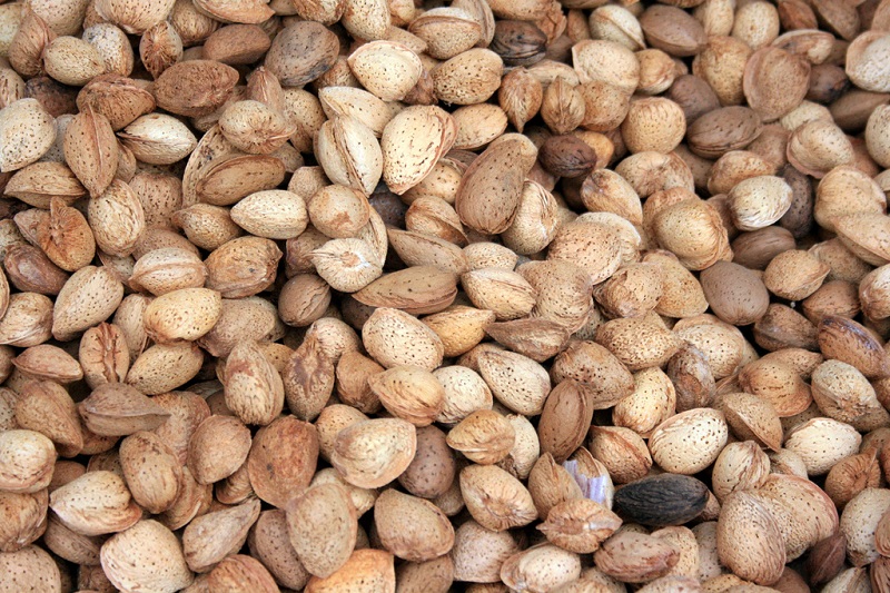 frutos secos
