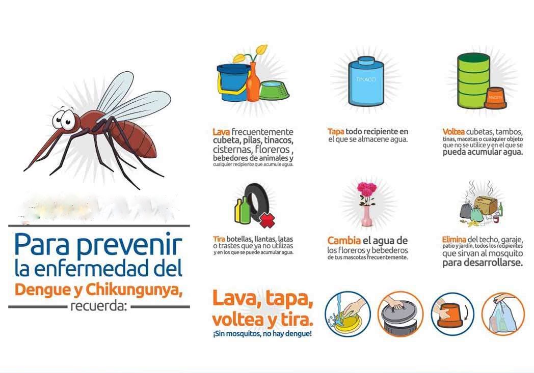 diferencias entre dengue, chikungunya y zika
