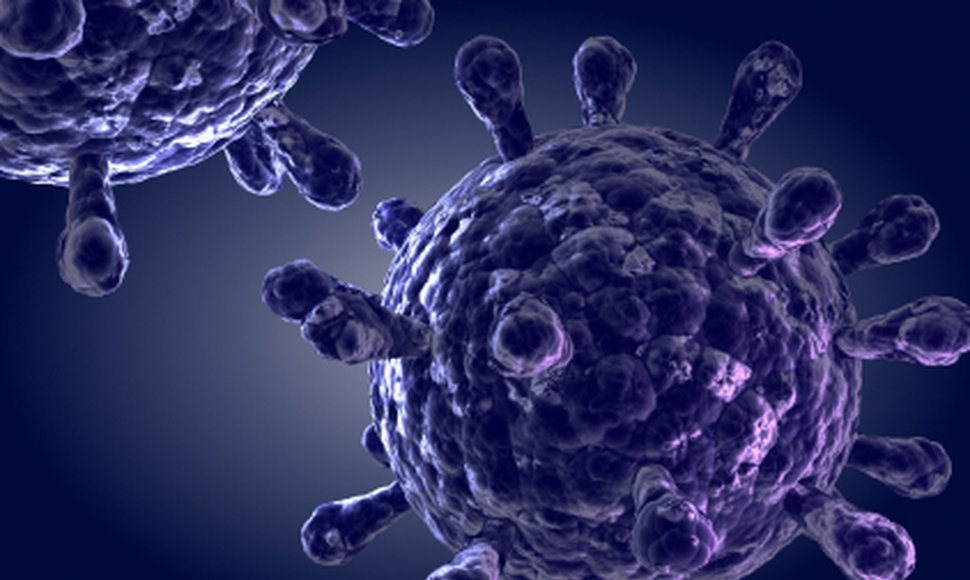 Virus