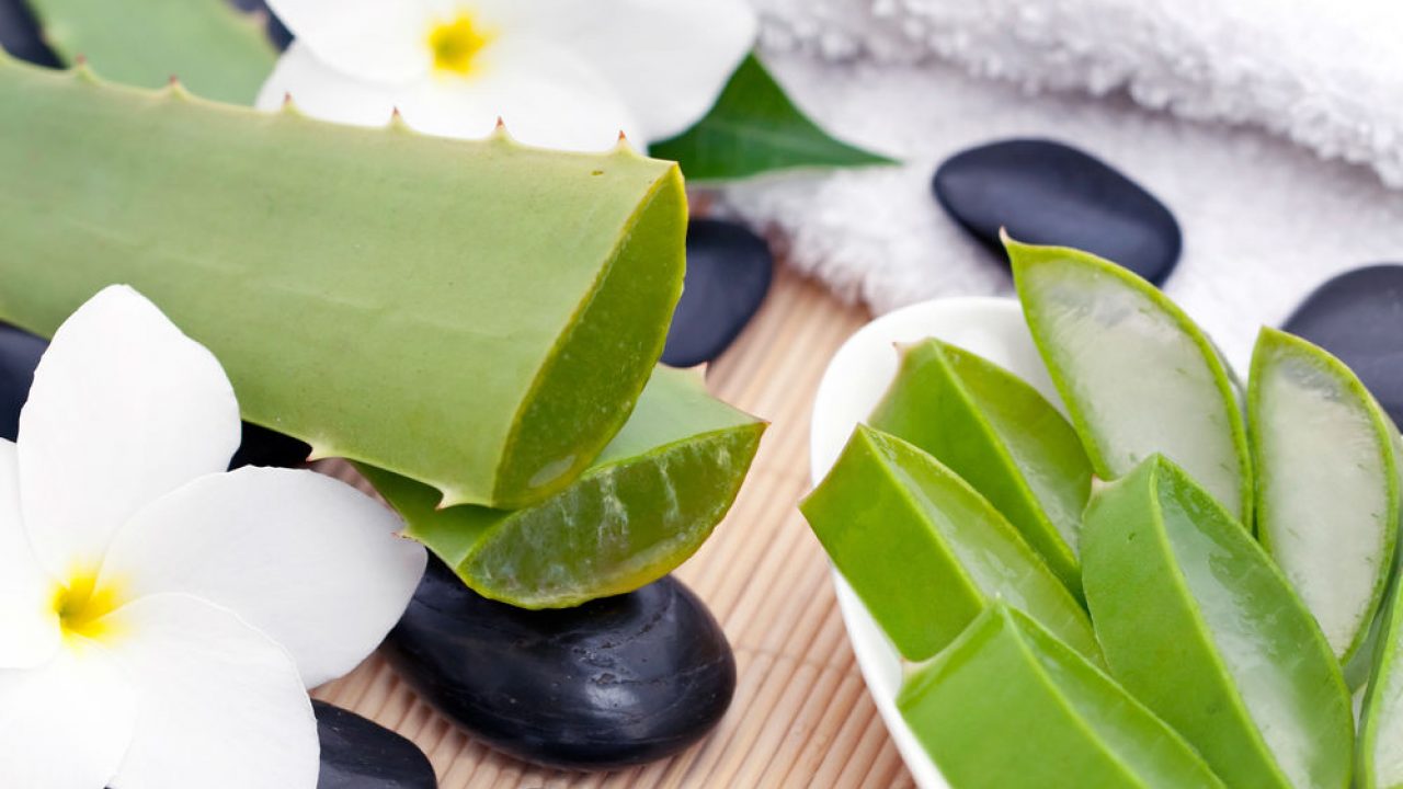 aloe vera sabila contraindicaciones