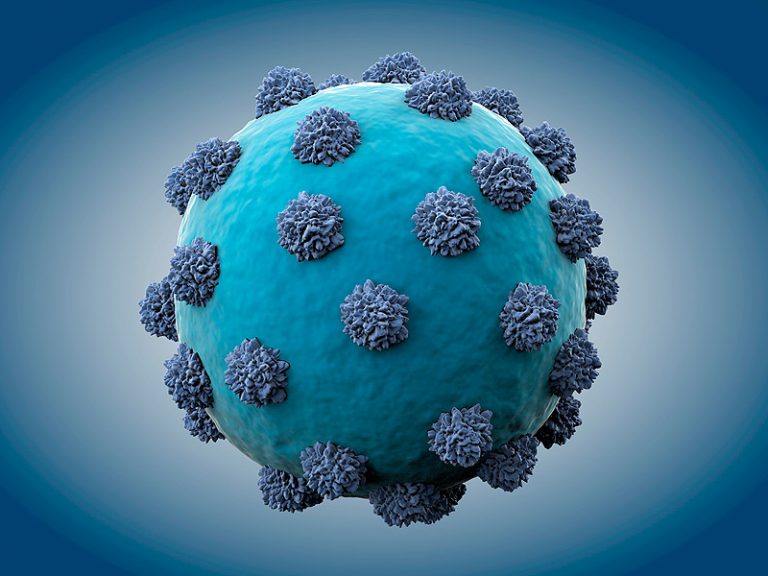 virus de la hepatitis