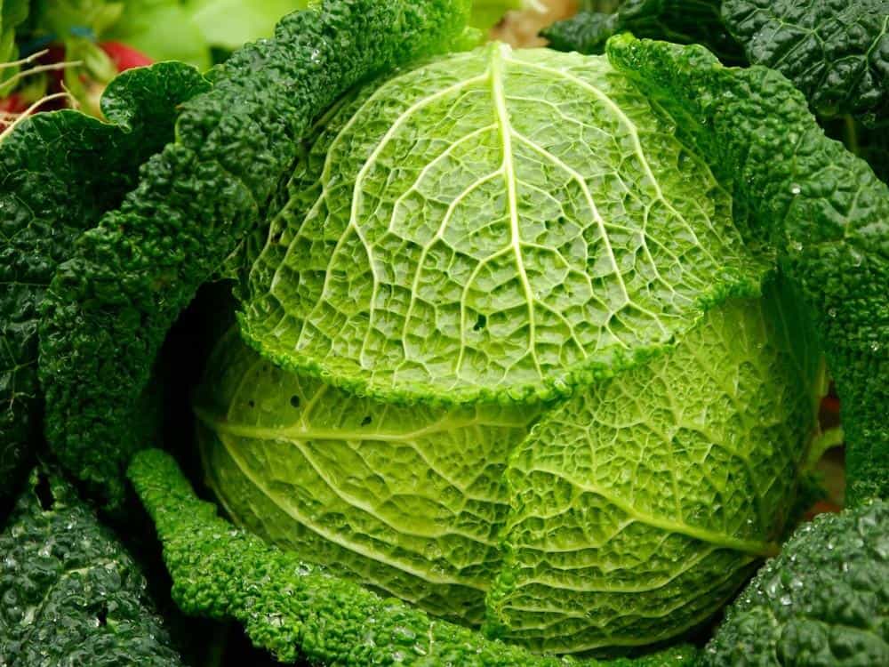 alimentos con magnesio