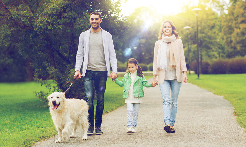 Beneficios de caminar