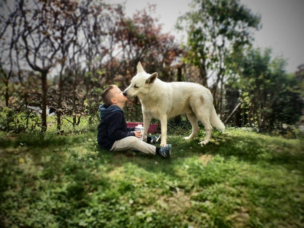 El mejor amigo del deporte es el perro