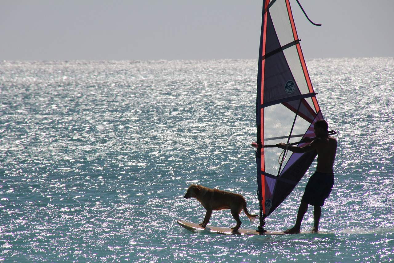 El mejor amigo del deporte es el perro