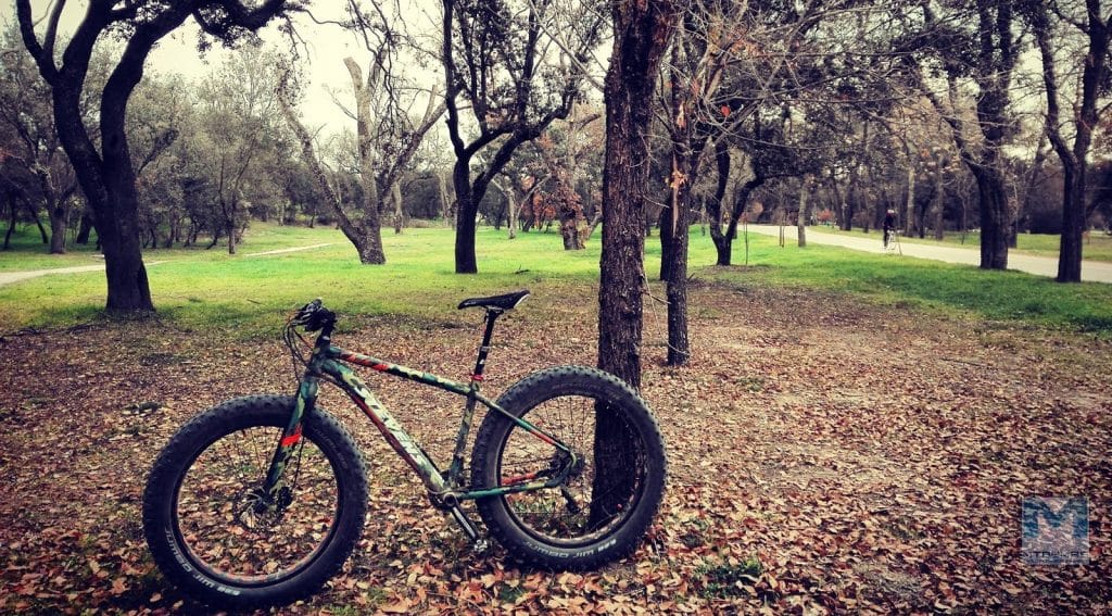 fat bikes 
