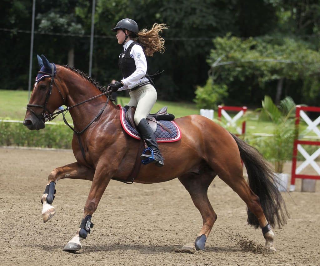 Equitacion2
