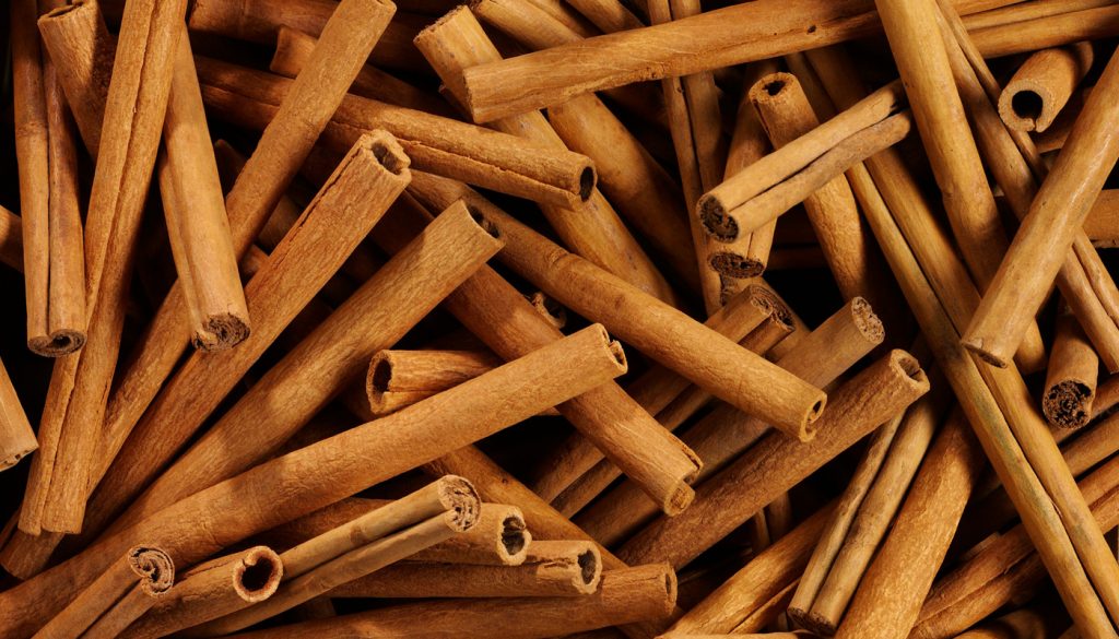 Canela1