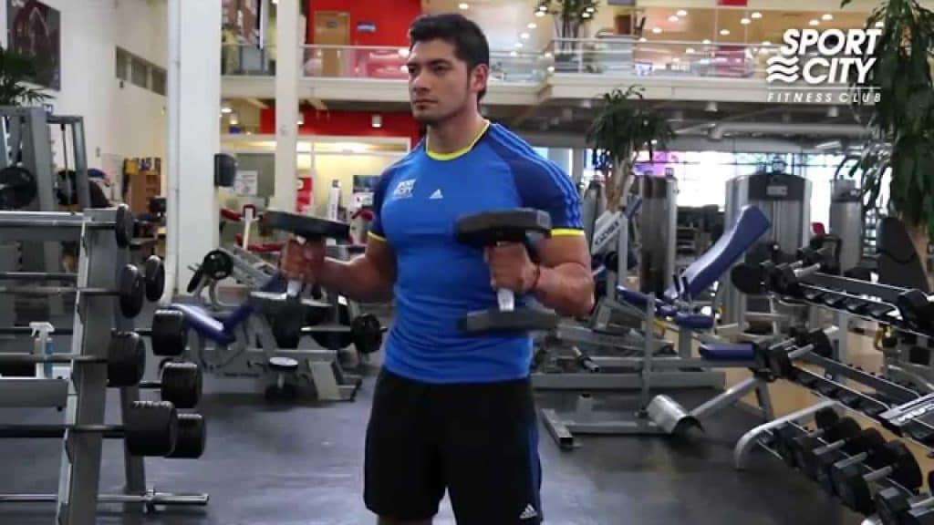 Musculación para brazos