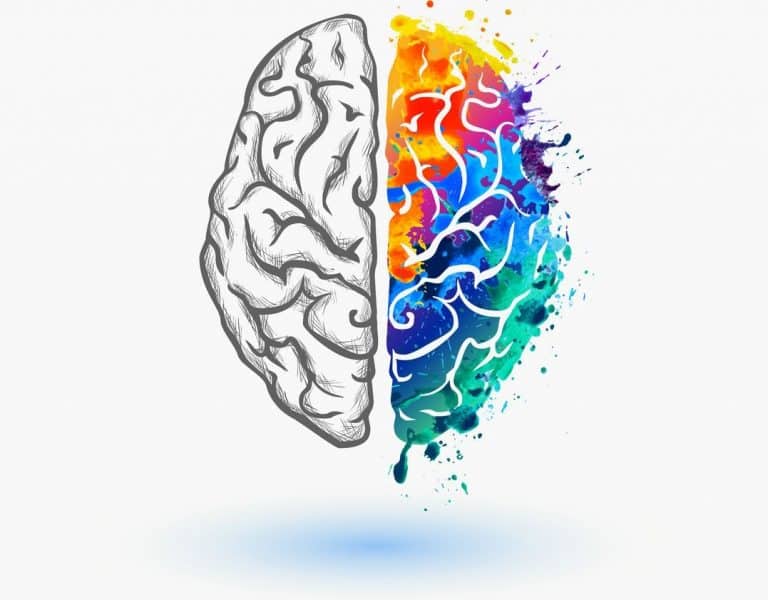 ejercicio en la estructura del cerebro