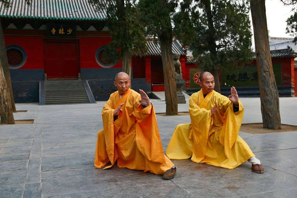 artes marciales mixtas populares