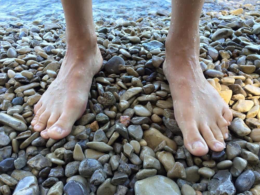 estructura de los pies