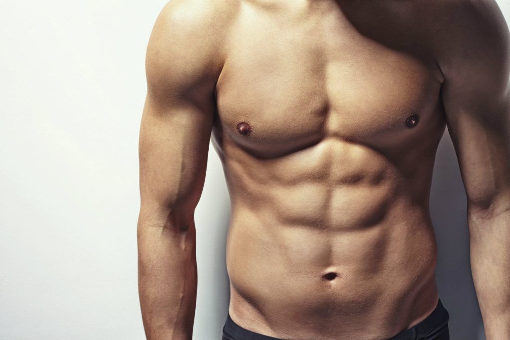 definición con l-carnitina