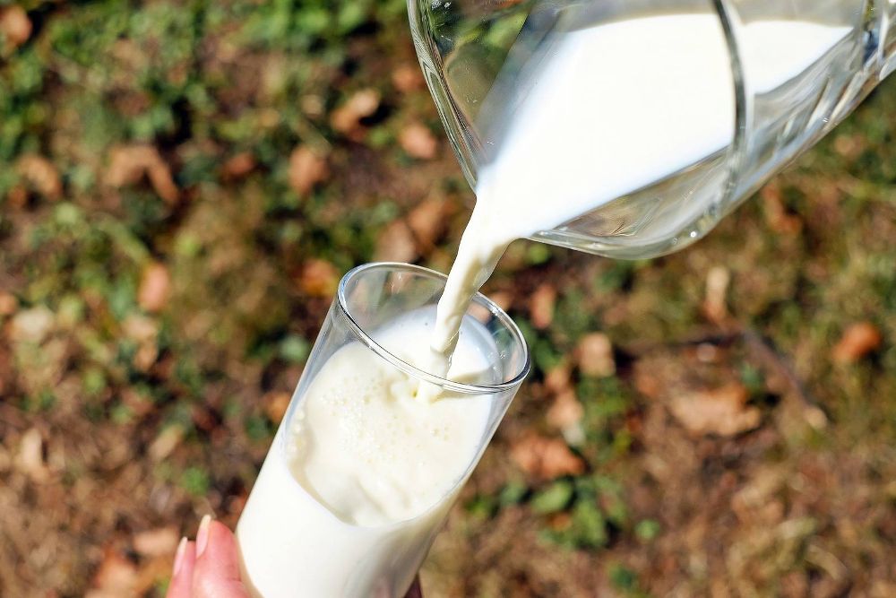 Cuales son las propiedades de la leche de cabra