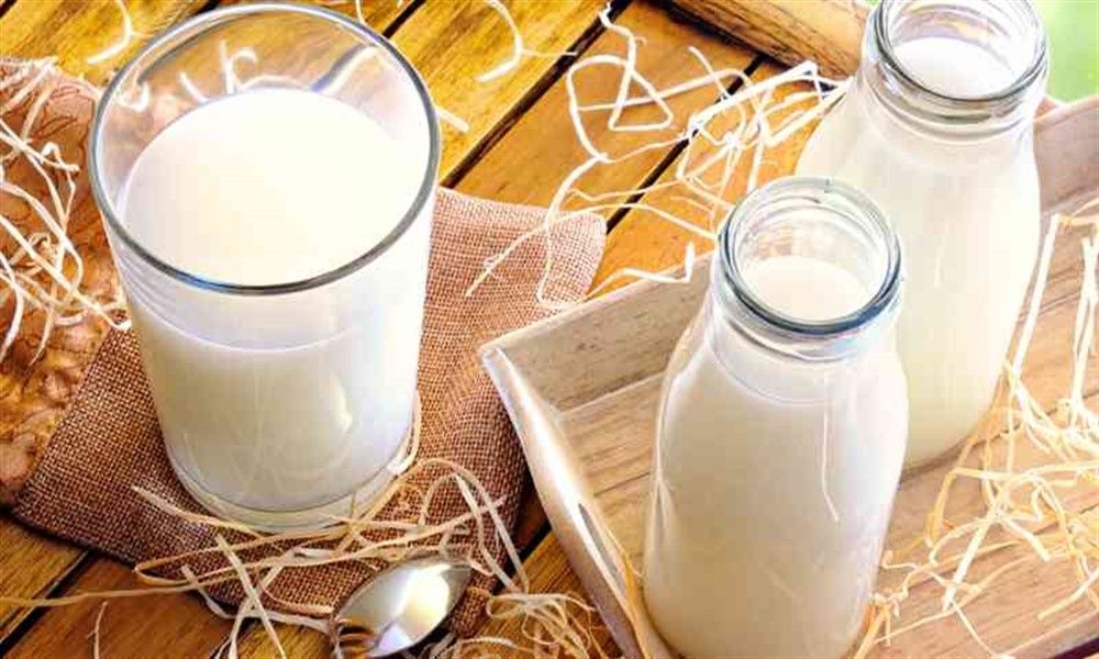 Leche de oveja