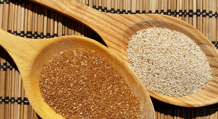 Cereal teff propiedades
