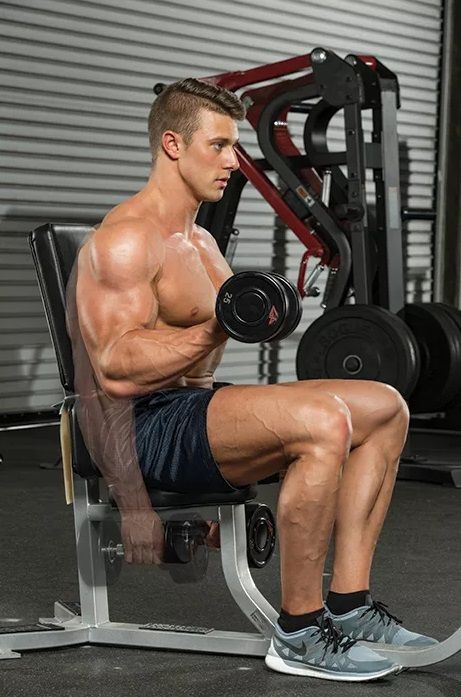 Sentado alternando Mancuernas