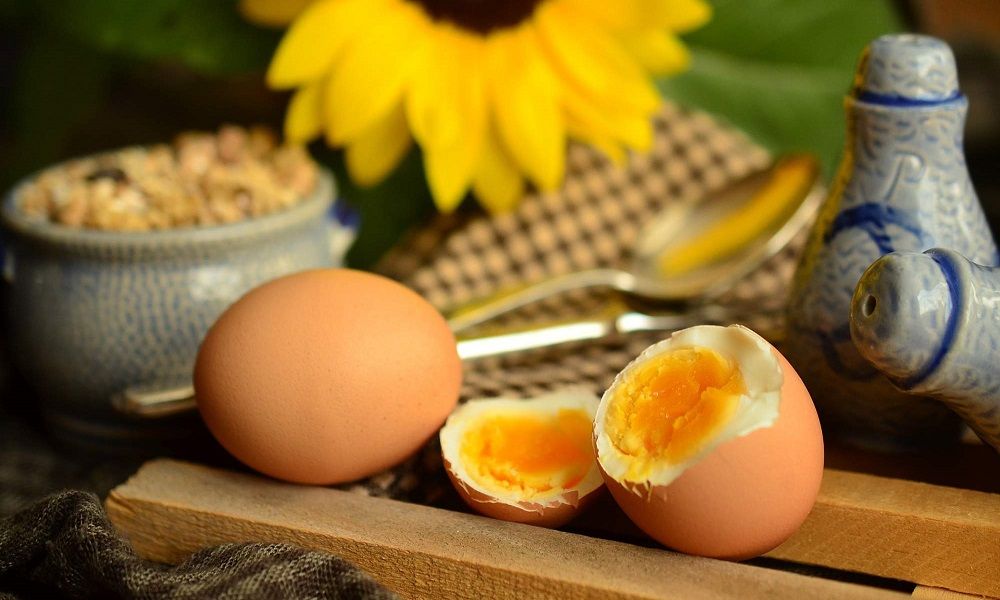Suplementos de proteína