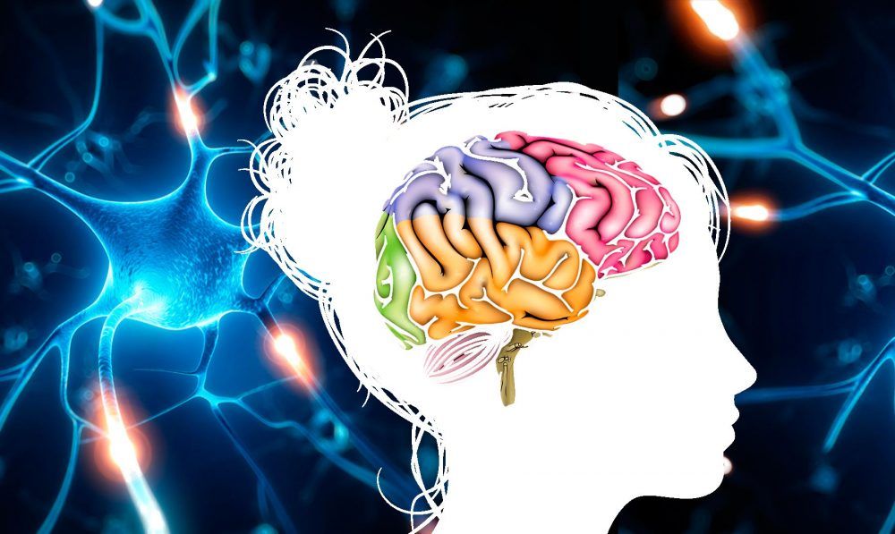 aplicaciones para entrenar tu cerebro