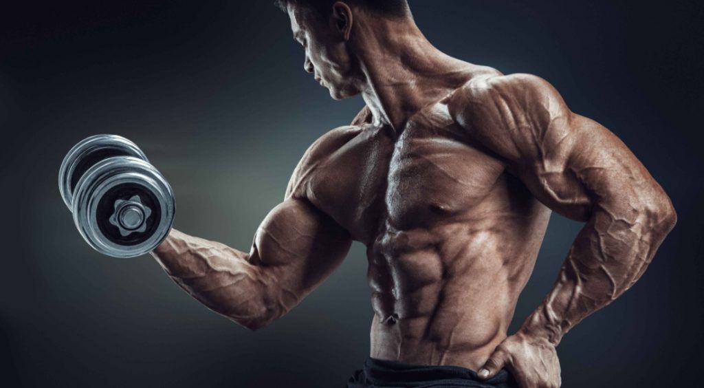 cómo afecta la fatiga muscular a la hipertrofia