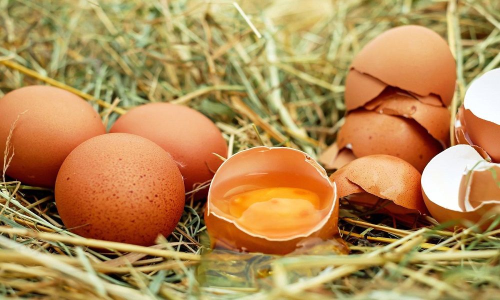 huevos no son perjudiciales para la salud