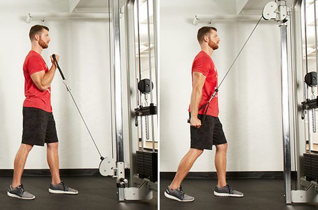 extensión de biceps y triceps