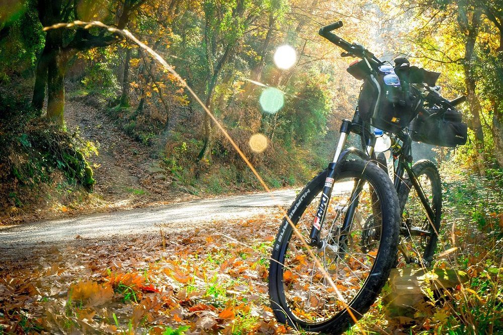 Bicicleta de montaña