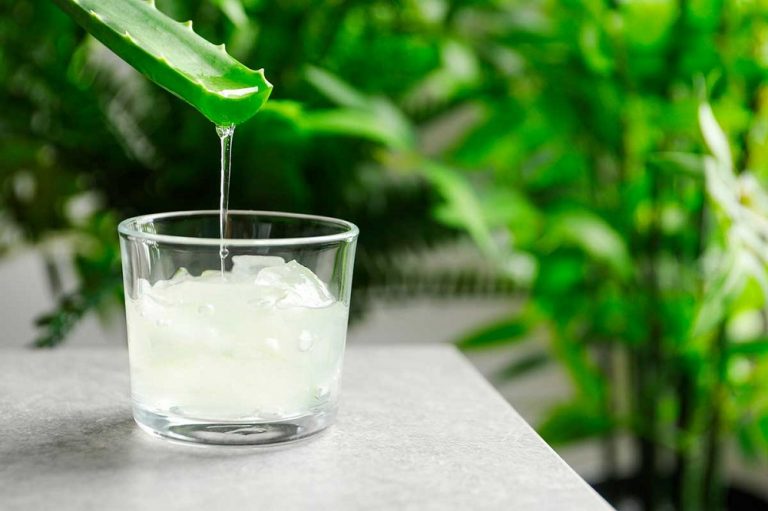 bebidas de Aloe Vera