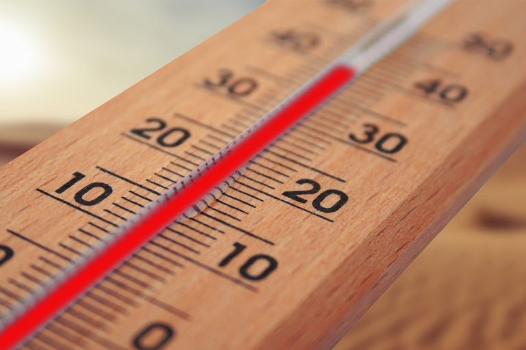 Cómo superar una ola de calor sin morir en el intento