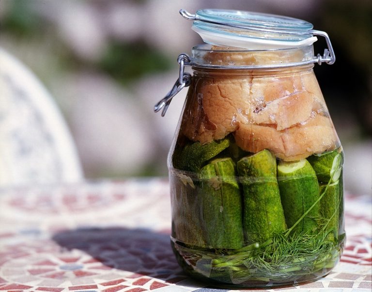 Pickles o vegetales fermentados