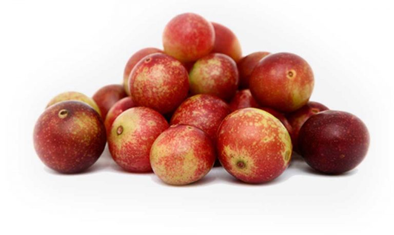 fruta camu camu