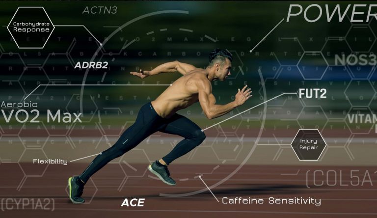 Influencia de las hormonas en el rendimiento deportivo