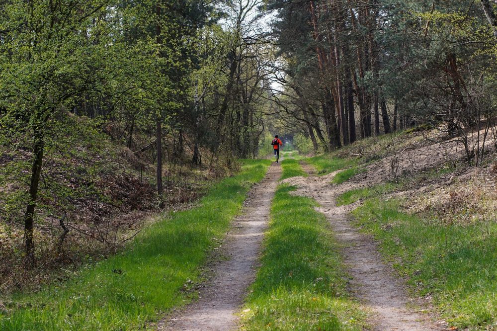 correr entrenamiento