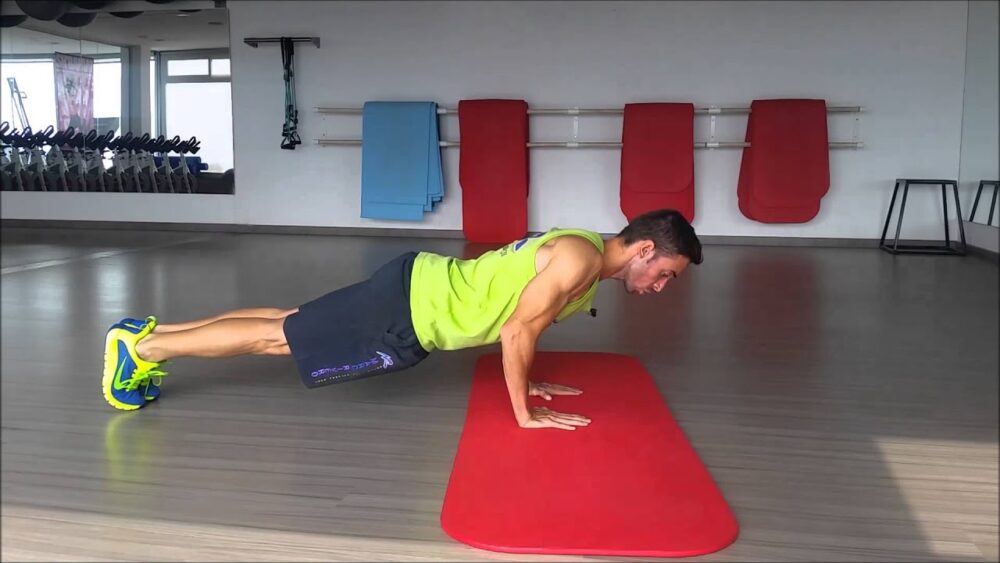 Fondos de pectoral
