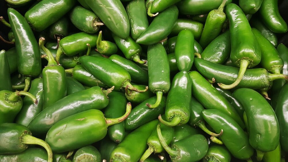 El chile jalapeño ayuda a mantener el sistema endocrino
