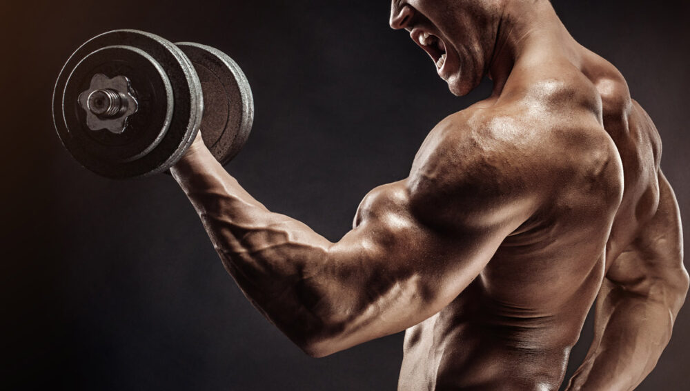 Cargas y repeticiones óptimas para ganar masa muscular