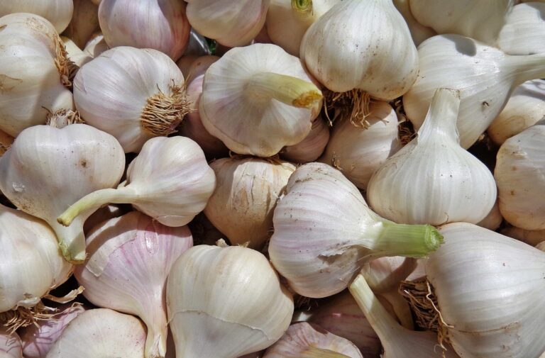 beneficios de comer ajo