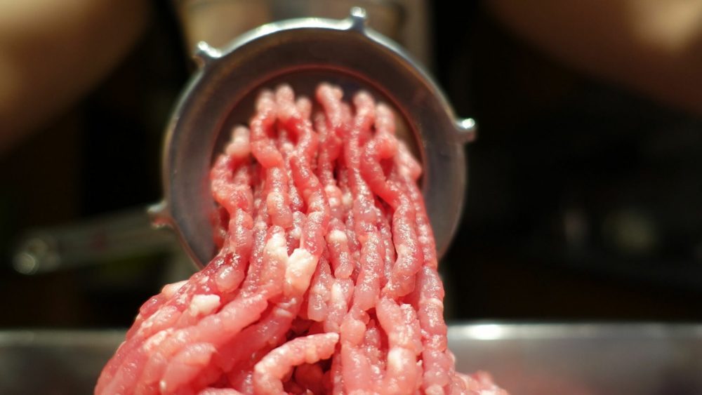 carne sintética