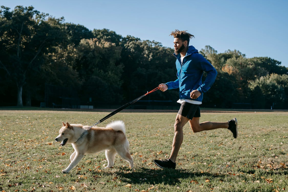 adaptar tu entrenamiento