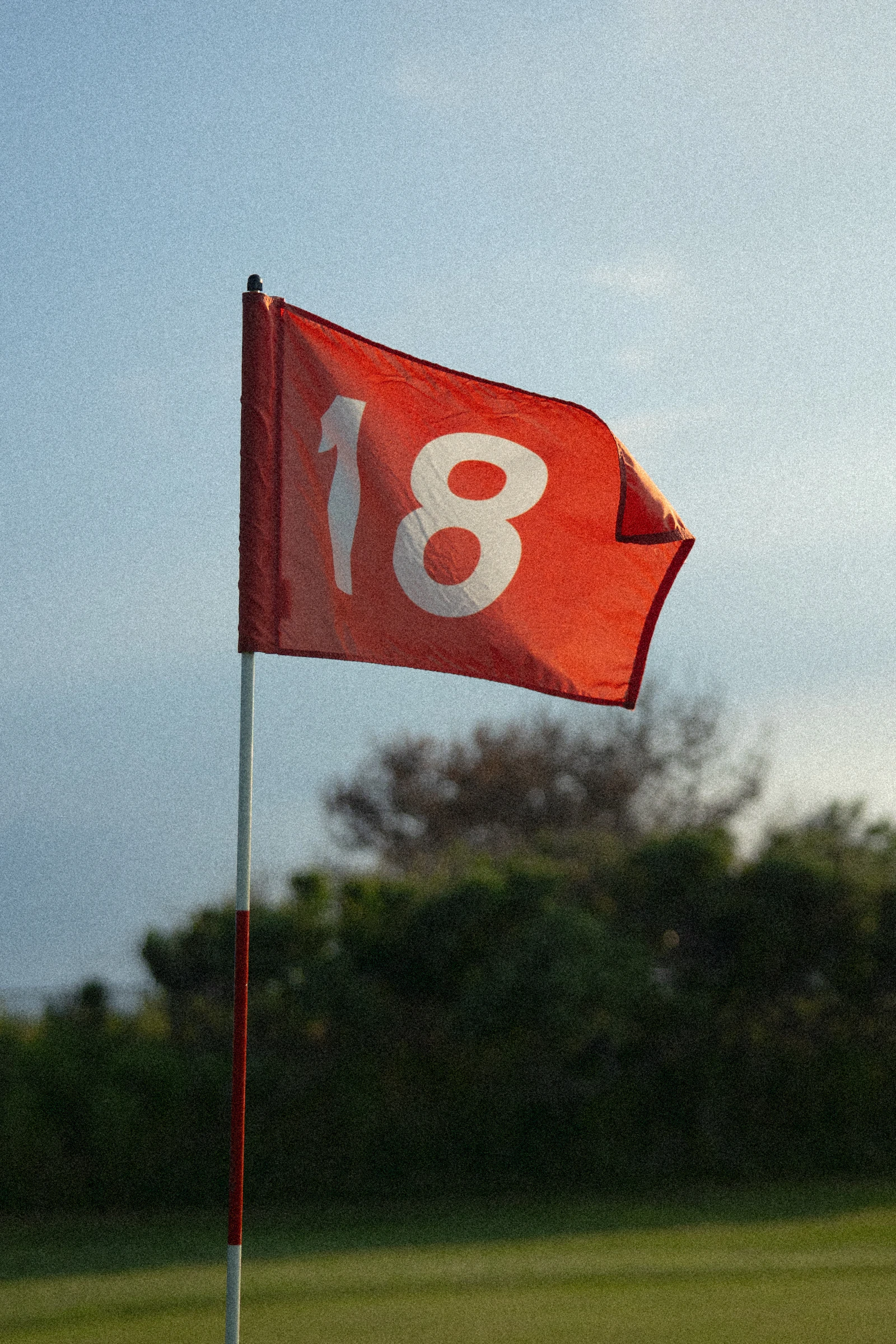 Calle de un campo de golf con la bandera del hoyo al fondo