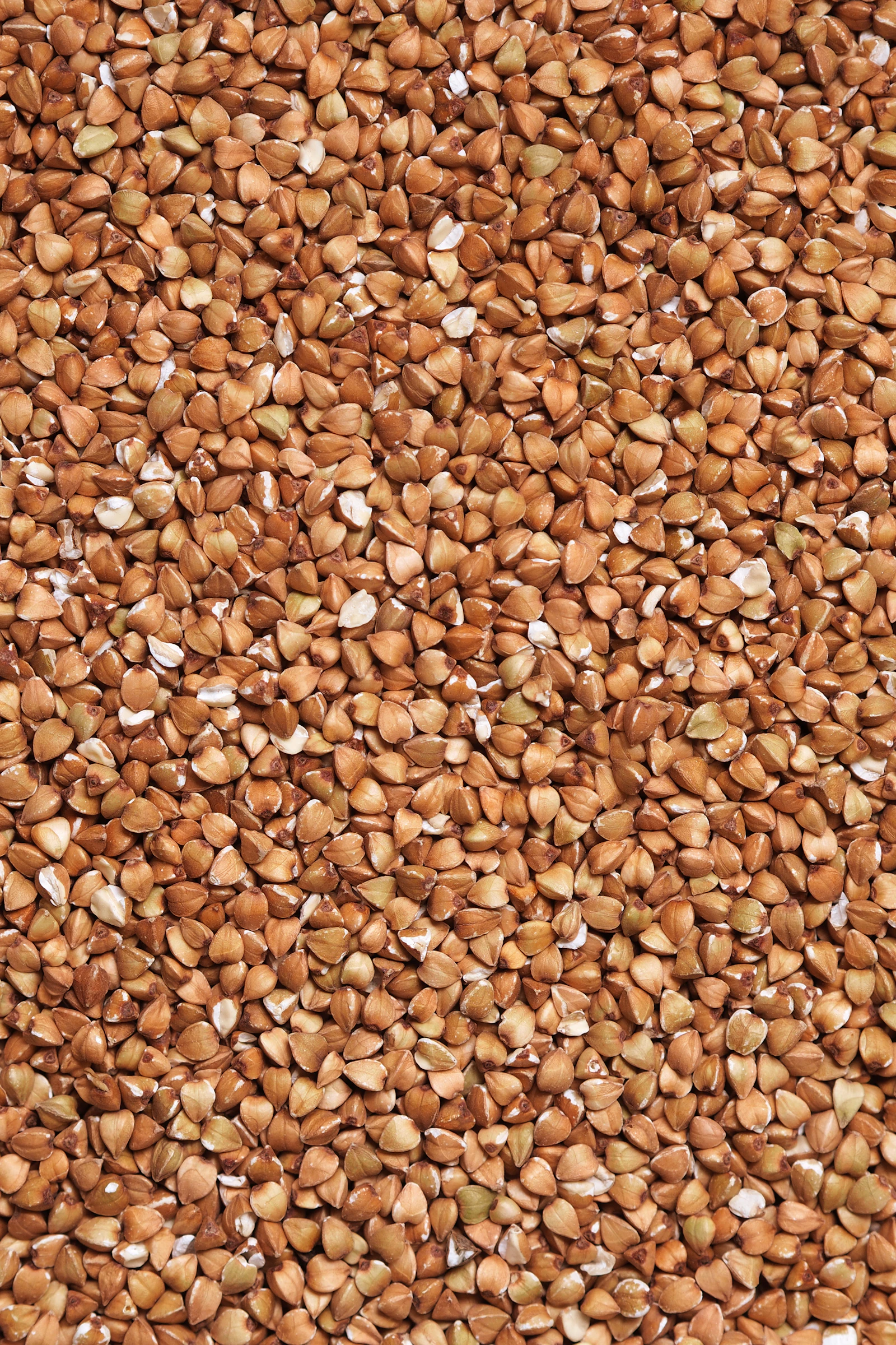 Tarros con trigo sarraceno, cebada perlada y bulgur crudos