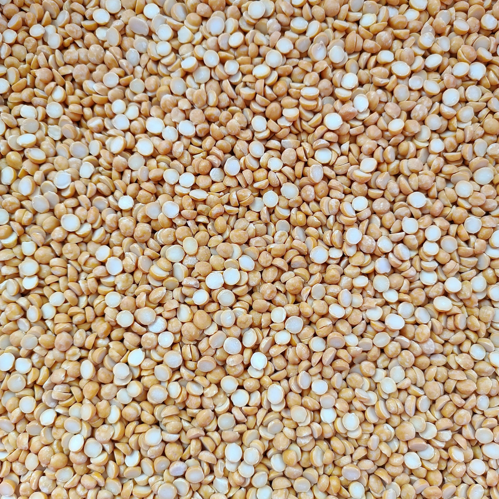 Cuencos con quinoa y mijo, granos sin gluten
